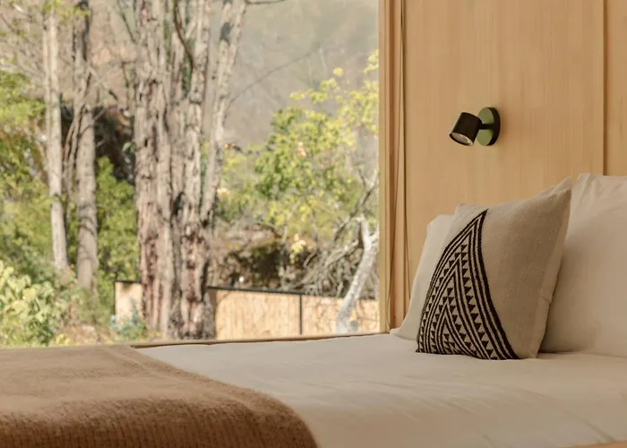 Hotel Earth Tones Tiny Homes &